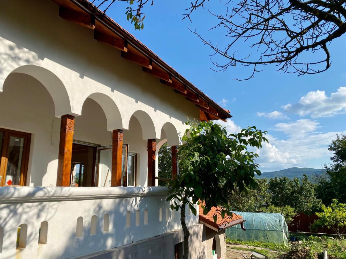 Conacul Grigorescu Ratesti Exterior photo