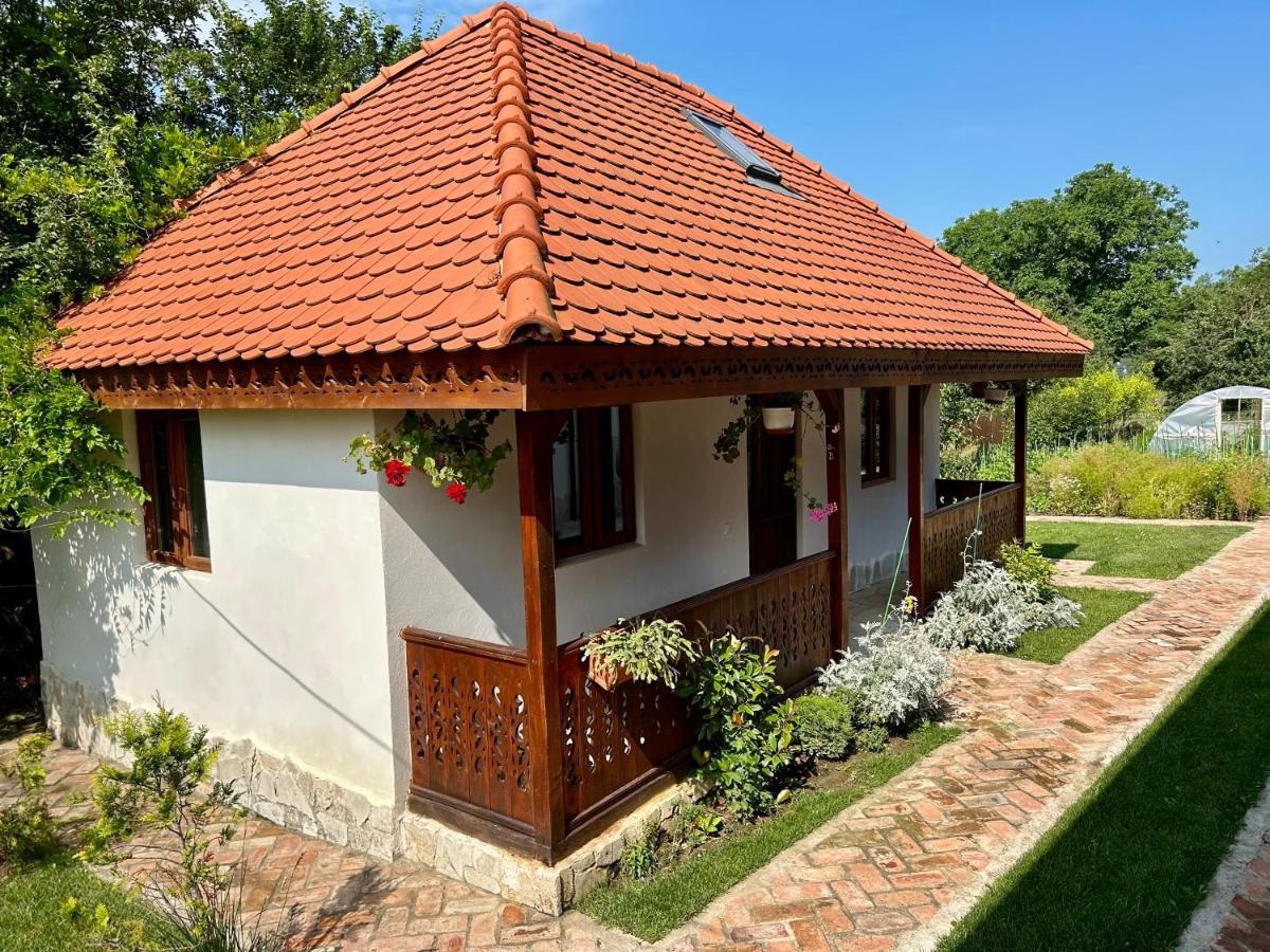 Conacul Grigorescu Ratesti Exterior photo